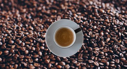 Así se hace el café perfecto, según la ciencia