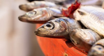 Los 5 pescados más baratos de esta temporada