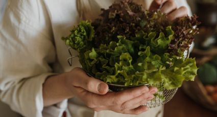 El truco para congelar lechuga y que no pierda sus propiedades