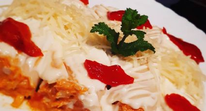 Rápido y fácil: prepara canelones de atún con tomate