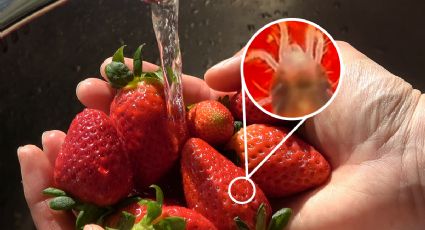 Así debes lavar las fresas para evitar parásitos