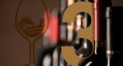 World’s Best Vineyards: tres vinos por menos de 10 euros de la mejor bodega de España