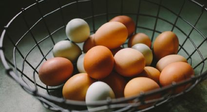 Estos son los huevos más sabrosos del mercado