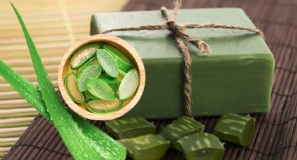 Trata de no sonreír antes de conocer cómo hacer jabón de aloe vera casero