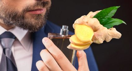 Descubre los perfumes con jengibre perfectos para hombre