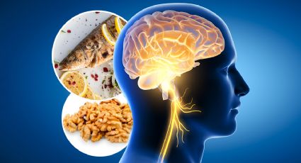 Estos son los 3 alimentos que le dan poder a tu cerebro y necesitas diario, según Harvard