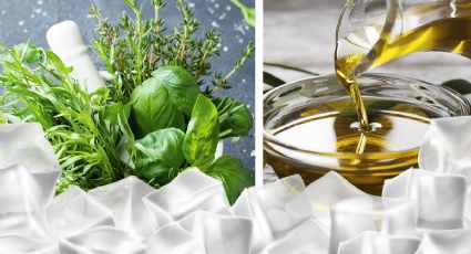 5 razones para congelar aceite de oliva con hierbas frescas