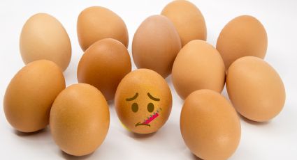 5 claves para no consumir huevos en mal estado, según la OCU