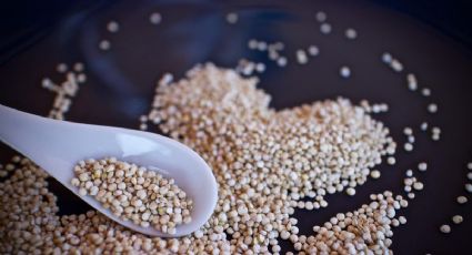 Cuántas calorías tiene una taza de quinoa, según la ciencia