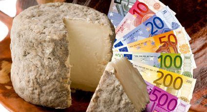 Descubre cuánto cuesta el mejor queso de oveja de España