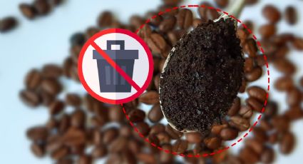 5 razones por las que no debes botar los residuos del café