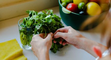 Las 3 maneras perfectas de conservar el cilantro fresco por más tiempo