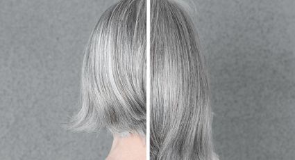 Descubre las extensiones de canas para lucir hermosa que son furor en góndolas