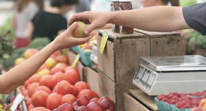 Conoce cuáles son las frutas y verduras de temporada en el mes de agosto