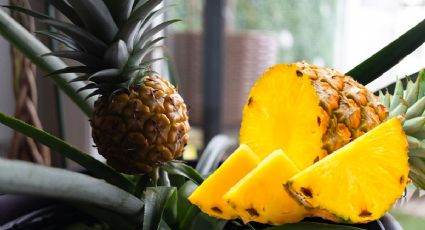 Siembra tu propia planta de piña en tu casa de manera sencilla