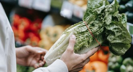 Los sencillos trucos para ahorrar en alimentos este verano, según la OCU