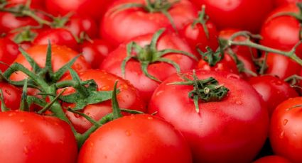 4 errores que cometes y le quitan sabor al tomate