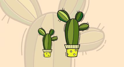 El truco perfecto para hacer florecer cualquier suculenta o cactus