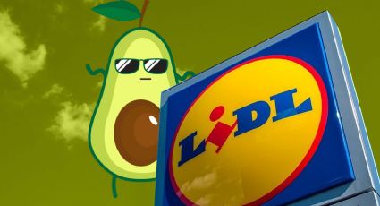 El ligero aguacatero de Lidl ideal para conservar los aguacates (por 2,99 euros)