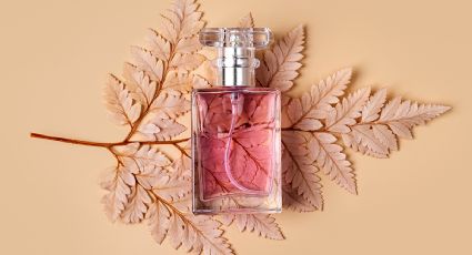 Estos son los 7 perfumes perfectos (y duraderos) para recibir el otoño 2022