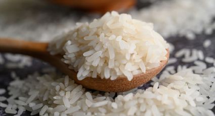 Recetas saludables: 5 alimentos para sustituir el arroz y los carbohidratos