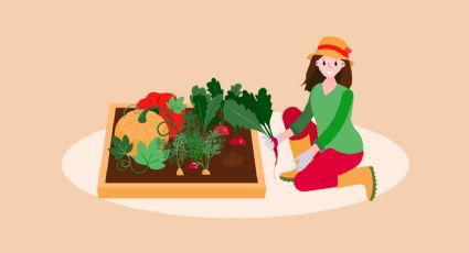 Huerto en casa: 5 hortalizas para cultivar antes de que termine septiembre