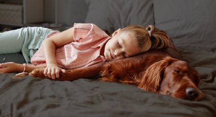 Estas son las 2 razones para dormir junto a tu perro