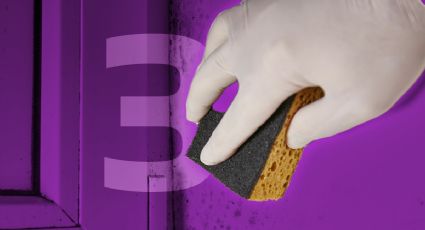 Así puedes eliminar las manchas de humedad de las paredes, con 3 ingredientes