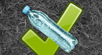 5 ideas fáciles para reciclar botellas de plástico y usarlas en tu jardín