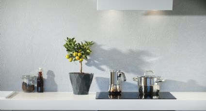 Feng shui: Plantas de interior que debe tener tu cocina para atraer la abundancia