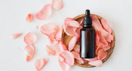 ¿Cómo hacer aceite de rosas casero para rejuvenecer y tener piel perfecta?