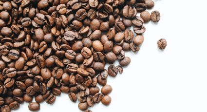 ¿Cómo saber si el café es de buena calidad?