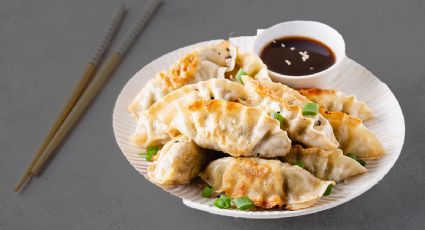 Receta fácil para hacer dumplings de pollo y vegetales