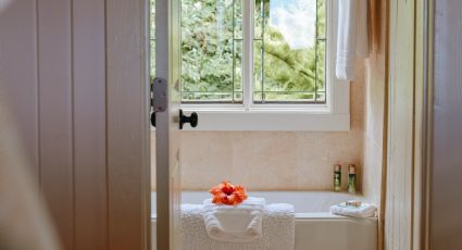 4 fragancias naturales para aromatizar el baño