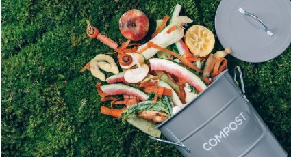 ¿Cómo preparar compost casero? El paso a paso para hacer crecer tus plantas de interior