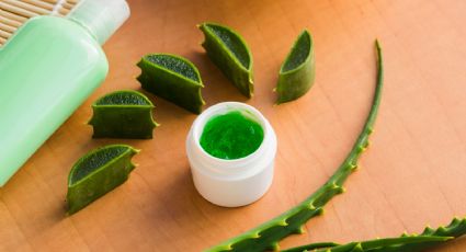 Envejecimiento: Prepara la mejor crema de Aloe Vera para una piel sin arrugas