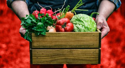 ¿Lo haces así? Así debes guardar tus verduras para que no se pudran