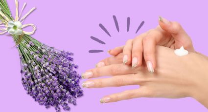 Remedio casero de la abuela: Elabora una pomada de lavanda y rejuvenece tu piel