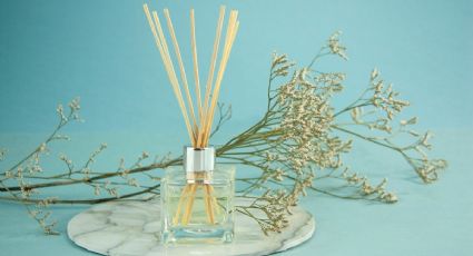 Aromatizante casero: Con estos ingredientes le darás un toque de olor especial a tu casa