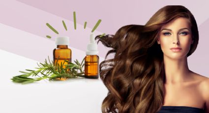 ¡Que no pare de crecer! Elabora un aceite de romero y logra el cabello largo que tanto deseas