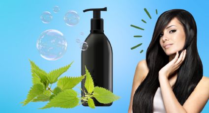 Sorpréndete con los beneficios de la ortiga en el cabello y elabora un champú casero