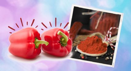 ¡Que nunca falte en tu cocina! Crea desde cero paprika y enriquece el sabor de tus platillos