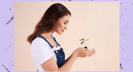 Toma nota de esta planta que protege tu hogar y deja un aroma exquisito