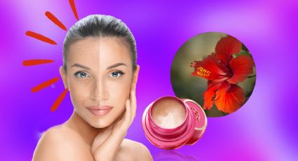 Rejuvenece tu rostro con una crema antiedad casera de flores de hibiscus