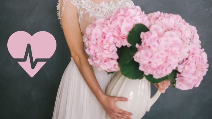 Hortensias: Con este sencillo truco conseguirás revivir tus flores marchitas en una hora