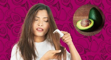 Elimina el cabello seco y las puntas abiertas con estas 3 mascarillas de aguacate