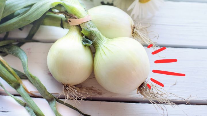 ¿Dónde colocar la cebolla en la cocina para atraer abundancia, según Feng Shui?