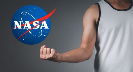 Este es el superalimento que utiliza la NASA para aumentar la masa muscular