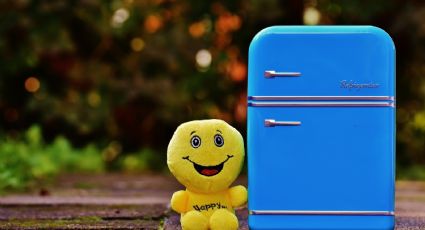 ¿Cómo quitar el olor a pescado en el refrigerador?