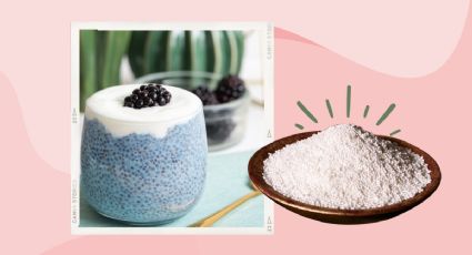 Endulza tu paladar con un postre fácil de tapioca blanca y fruta natural